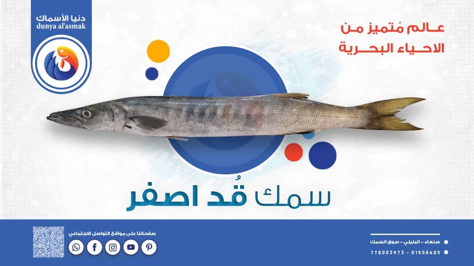 img 20260206 wa0004
