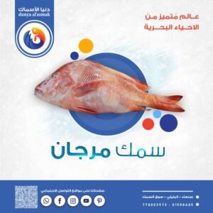 الرئيسيه img 20260206 wa0046