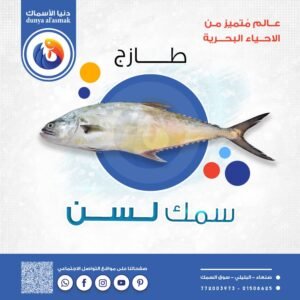 img 20260206 wa0060