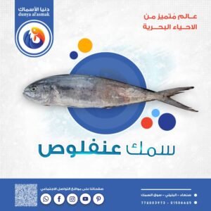 img 20260206 wa0061