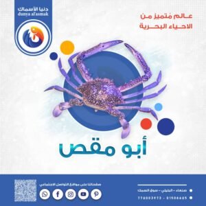 ابو مقص