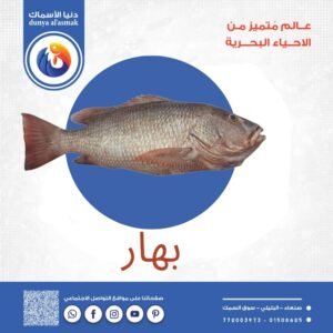 سمك بهار كامل