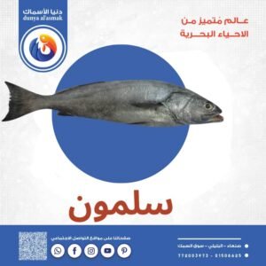 سمك سلمون كامل