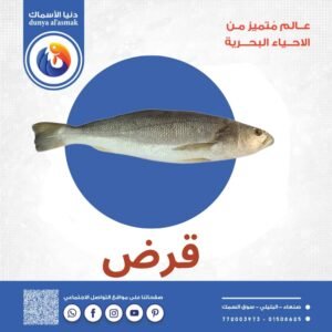 سمك قرض كامل