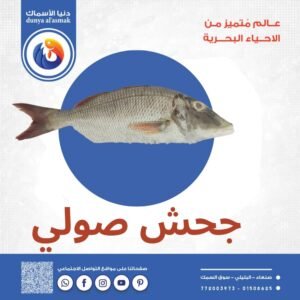 سمك جحش كامل