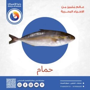 سمك حمام كامل